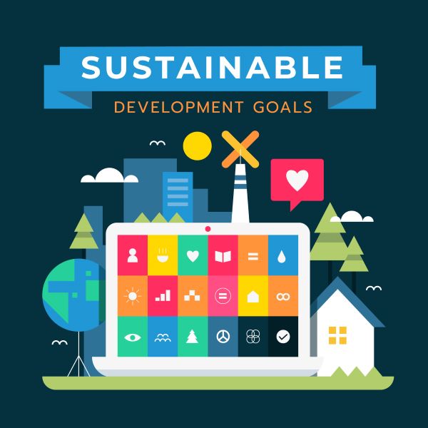 The What and Why of Sustainable Development Goals